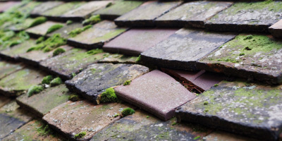 Woodham Mortimer roof repair costs